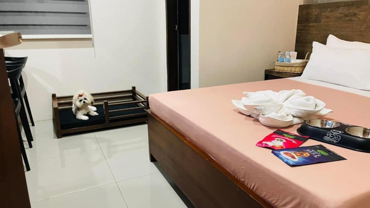 A&E Apartelle Bacolod Dış mekan fotoğraf