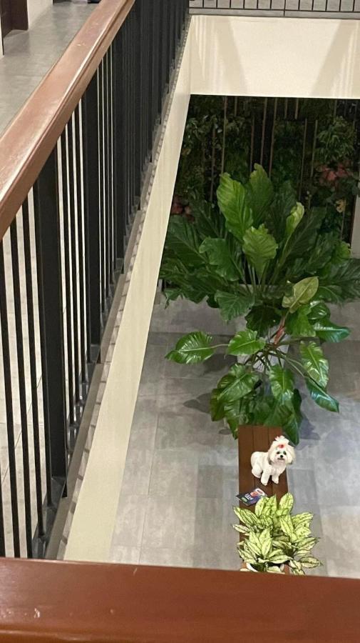 A&E Apartelle Bacolod Dış mekan fotoğraf